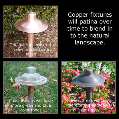 Professional Series Low-Voltage Brushed Satin Copper Outdoor LED Landscape Path Light and Spot Light Kit (8-Pack)